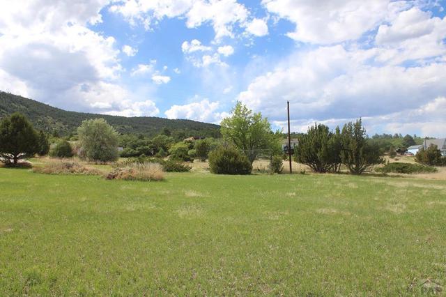 lot209 White Antelope Dr, Colorado City, CO 81019