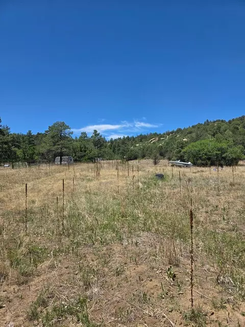 17775 County Rd 51, Bon Carbo, CO 81024