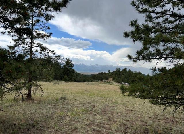 lot52 Tamarac Rd, Silver Cliff, CO 81252