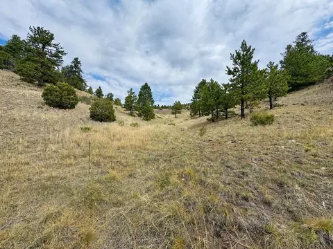 1054 Keepsake Loop, Westcliffe, CO 81252 photo 13