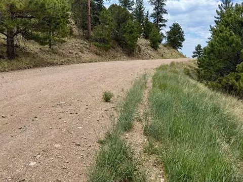 1054 Keepsake Loop, Westcliffe, CO 81252 photo 12