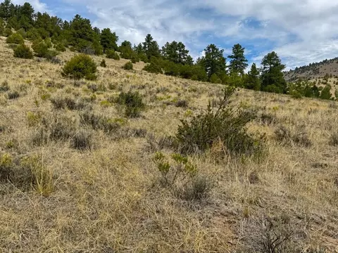 1054 Keepsake Loop, Westcliffe, CO 81252 photo 8
