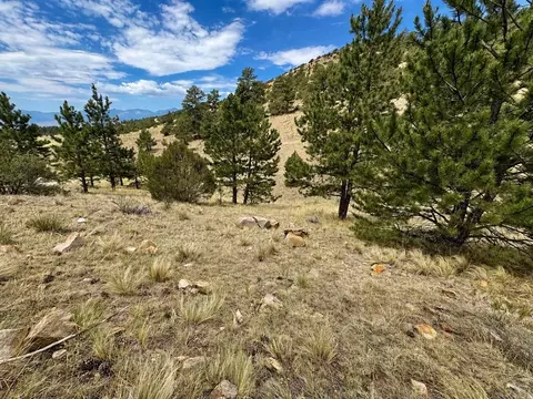 1054 Keepsake Loop, Westcliffe, CO 81252 photo 6