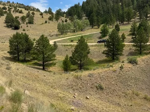 1054 Keepsake Loop, Westcliffe, CO 81252 photo 11