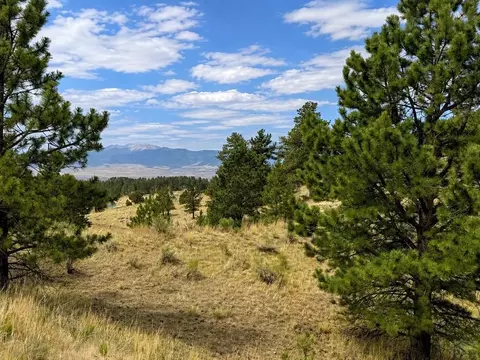 1054 Keepsake Loop, Westcliffe, CO 81252 photo 5