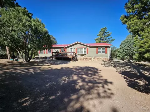 1900 Arnold Dr, Cotopaxi, CO 81223 photo 1