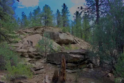 tbd Pine Ln, Weston, CO 81091 photo 11