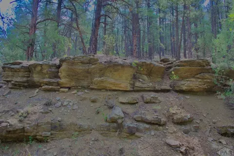 tbd Pine Ln, Weston, CO 81091 photo 5