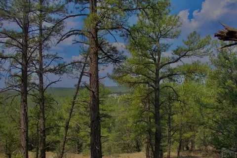 tbd Pine Ln, Weston, CO 81091 photo 16