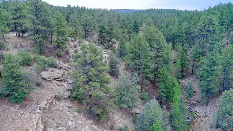 tbd Pine Ln, Weston, CO 81091 photo 35