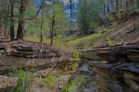 tbd Pine Ln, Weston, CO 81091 photo 8