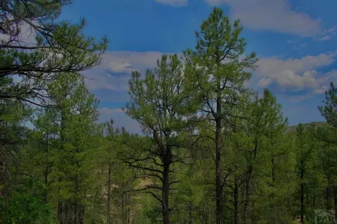 tbd Pine Ln, Weston, CO 81091 photo 10