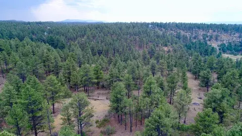tbd Pine Ln, Weston, CO 81091 photo 33