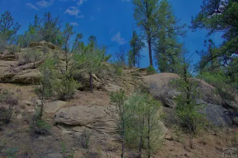 tbd Pine Ln, Weston, CO 81091 photo 14