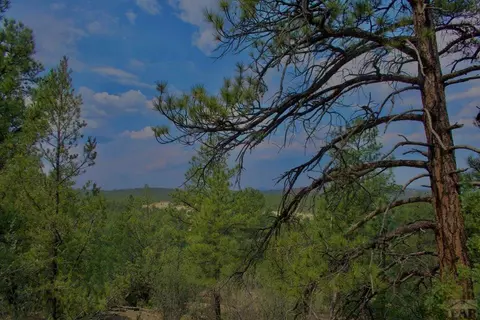 tbd Pine Ln, Weston, CO 81091 photo 15