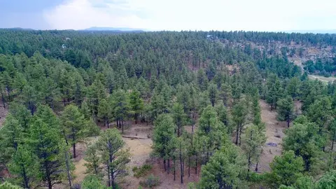 tbd Pine Ln, Weston, CO 81091 photo 42