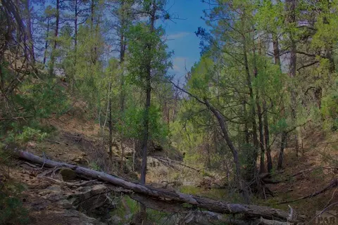 tbd Pine Ln, Weston, CO 81091 photo 7