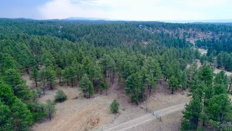 tbd Pine Ln, Weston, CO 81091 photo 32