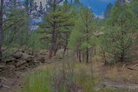 tbd Pine Ln, Weston, CO 81091 photo 21