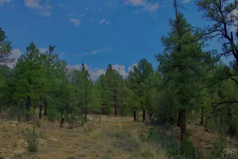 tbd Pine Ln, Weston, CO 81091 photo 3