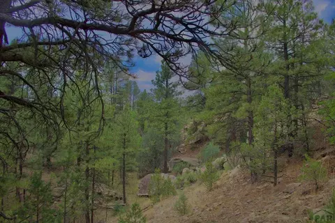 tbd Pine Ln, Weston, CO 81091 photo 23