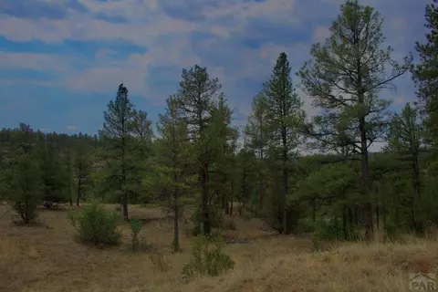 tbd Pine Ln, Weston, CO 81091 photo 28