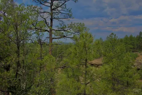 tbd Pine Ln, Weston, CO 81091 photo 19