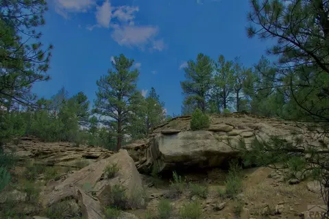 tbd Pine Ln, Weston, CO 81091 photo 12