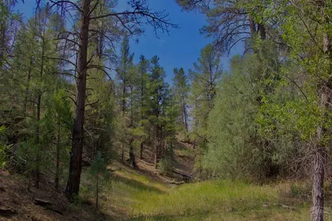 tbd Pine Ln, Weston, CO 81091 photo 6