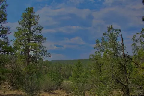 tbd Pine Ln, Weston, CO 81091 photo 18