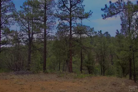 tbd Pine Ln, Weston, CO 81091 photo 26