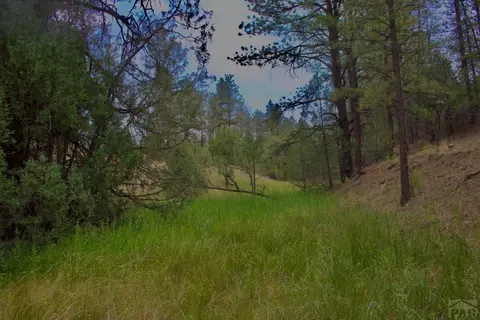 tbd Pine Ln, Weston, CO 81091 photo 22