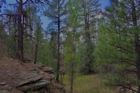 tbd Pine Ln, Weston, CO 81091 photo 13