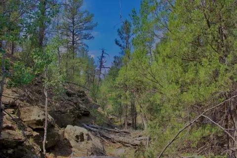 tbd Pine Ln, Weston, CO 81091 photo 9
