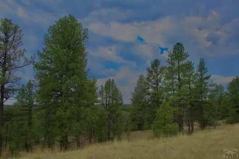 tbd Pine Ln, Weston, CO 81091 photo 38
