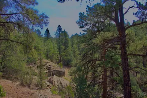 tbd Pine Ln, Weston, CO 81091 photo 2
