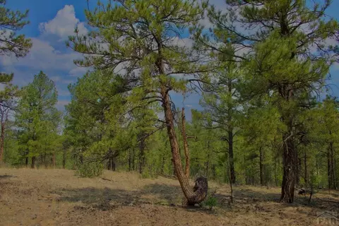 tbd Pine Ln, Weston, CO 81091 photo 17