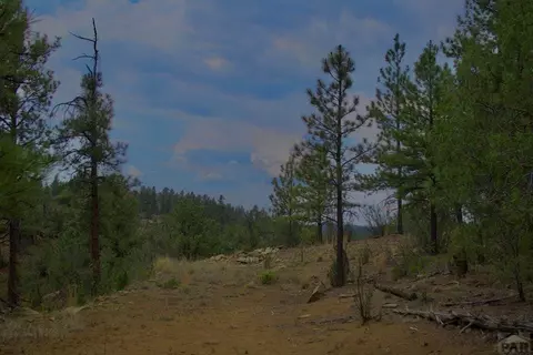 tbd Pine Ln, Weston, CO 81091 photo 25