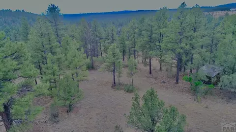 tbd Pine Ln, Weston, CO 81091 photo 31