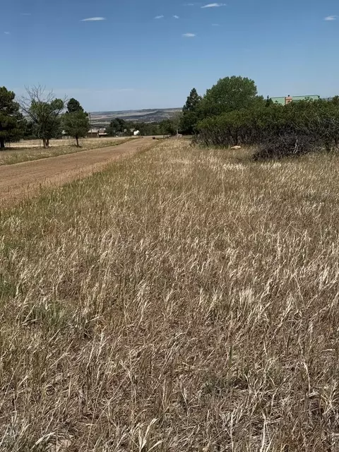 tbd Pine Dr, Rye, CO 81069 photo 6