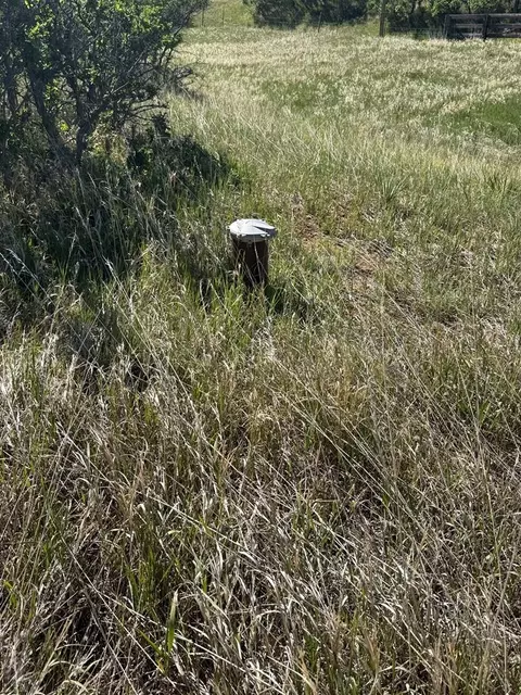 tbd Pine Dr, Rye, CO 81069 photo 3