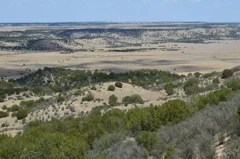 tbd Claymine Rd, Rye, CO 81069 photo 29