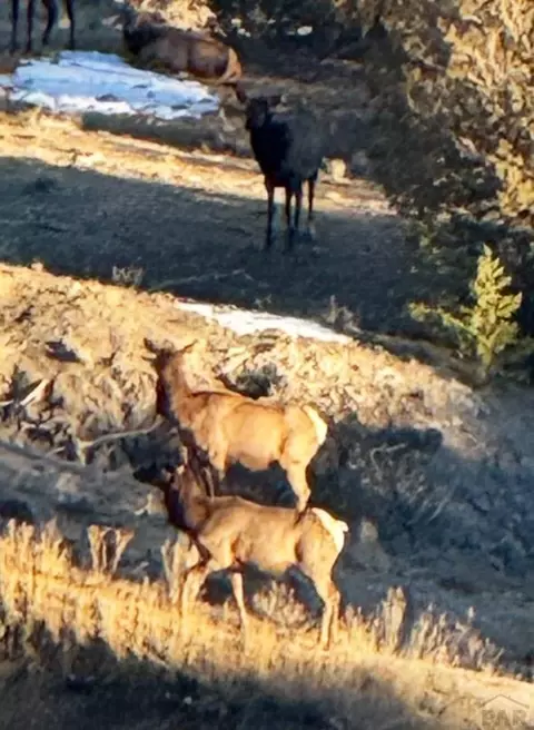 tbd Claymine Rd, Rye, CO 81069 photo 56