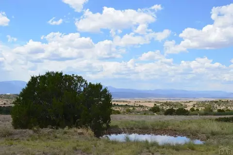 tbd Claymine Rd, Rye, CO 81069 photo 26