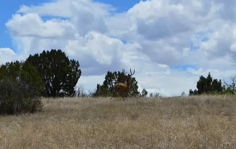tbd Claymine Rd, Rye, CO 81069 photo 22