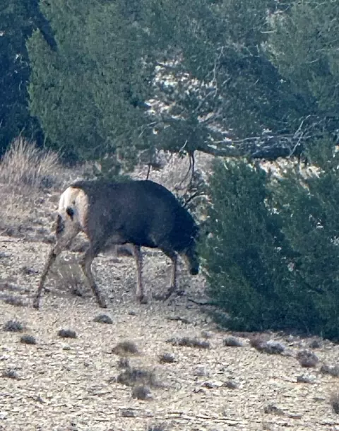 tbd Claymine Rd, Rye, CO 81069 photo 52