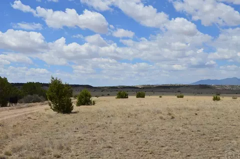 tbd Claymine Rd, Rye, CO 81069 photo 13