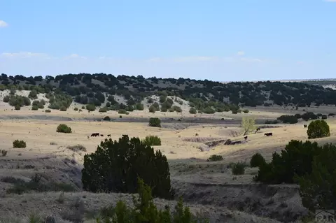 tbd Claymine Rd, Rye, CO 81069 photo 17