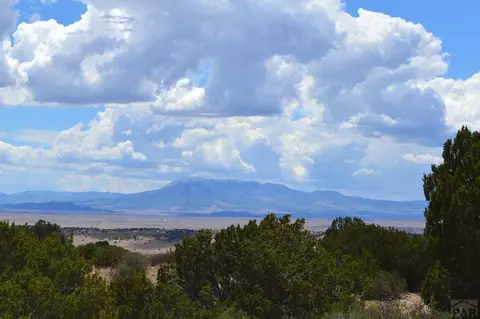 tbd Claymine Rd, Rye, CO 81069 photo 51