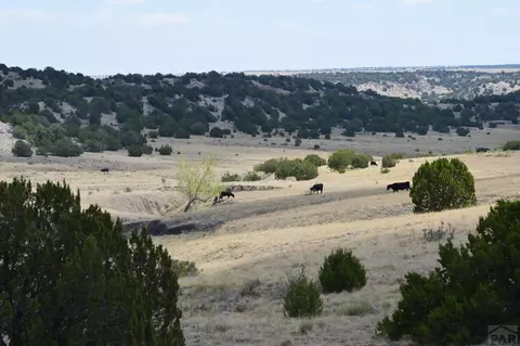 tbd Claymine Rd, Rye, CO 81069 photo 18